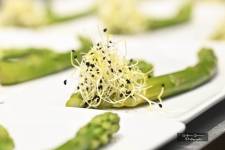 Guillaume SAMAMA - SAMAMA